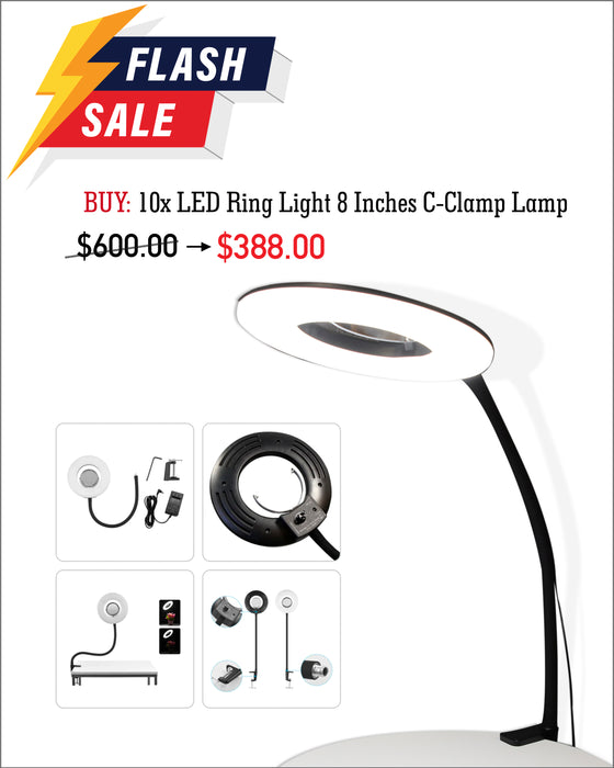 FLASH SALE - LED Ring Light 8 Inch Bundle
